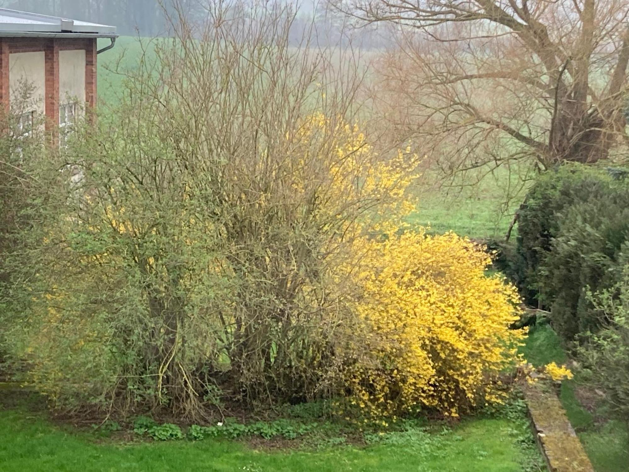 Turmwohnung, 3. Obergeschoss Deensen Bagian luar foto